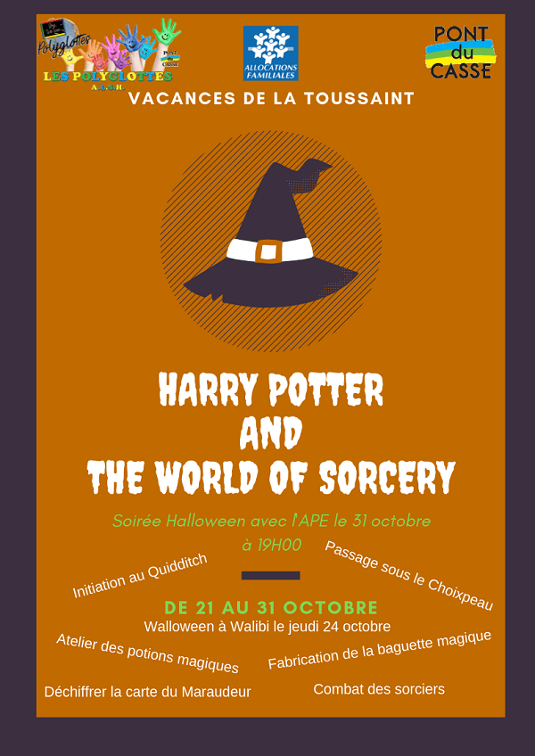 HARRY POTTER and the world of sorcery