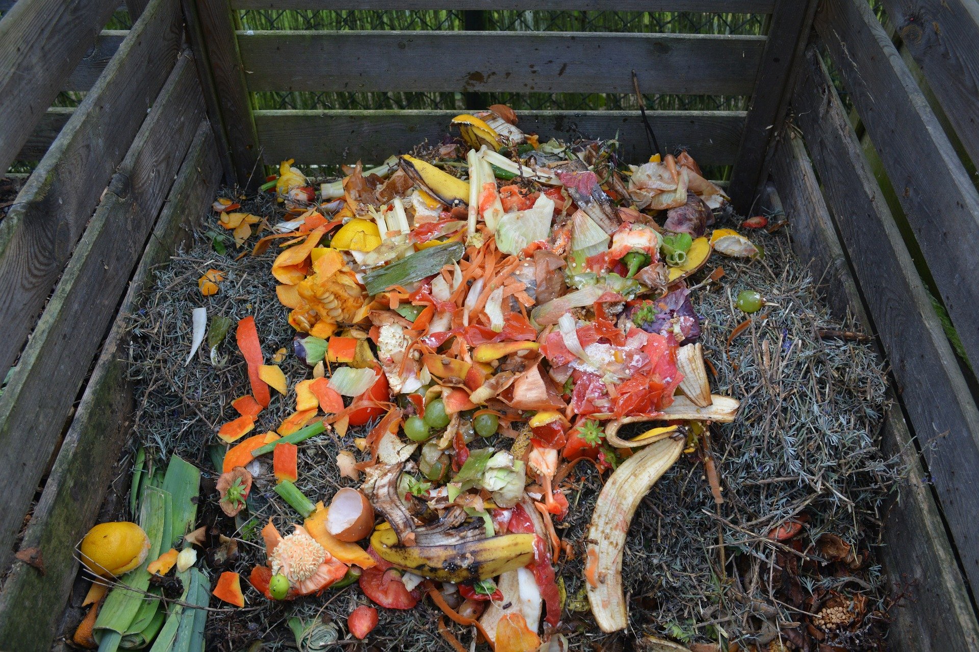 green-waste-513609_1920