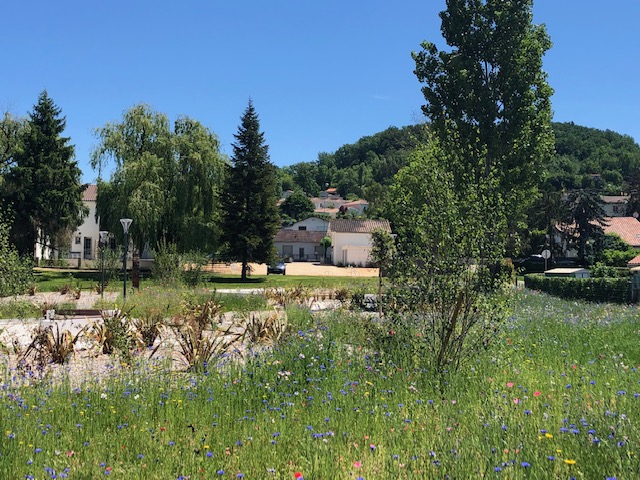 photos parc 19 05 2020 (11)