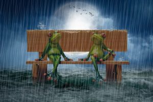 grenouille orage