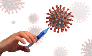 VACCIN CORO PIXABAY LIBRE DE DROITS