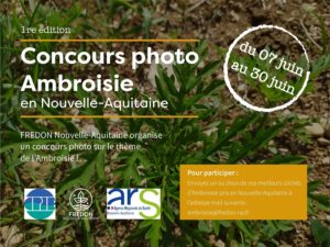 concours photo ambroisie