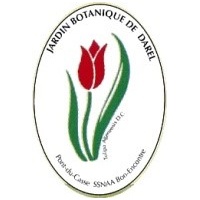 logo_2652