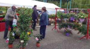 STANDS PLANTS FLEURS PAROISSE