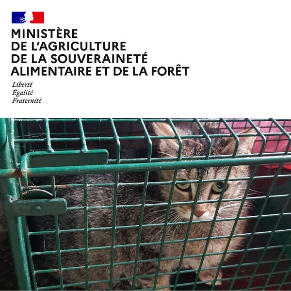 Design sans titre – 2024-12-12T103017.801